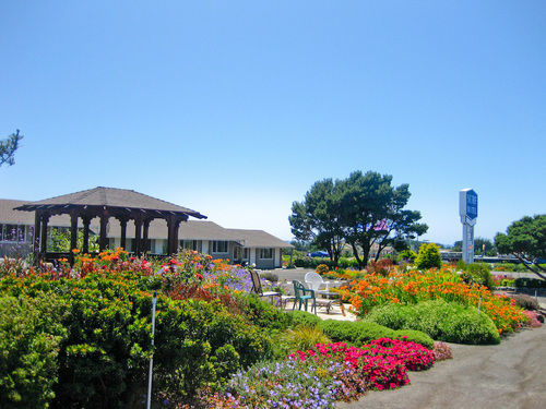 Surf Motel And Gardens Форт-Брегг Екстер'єр фото